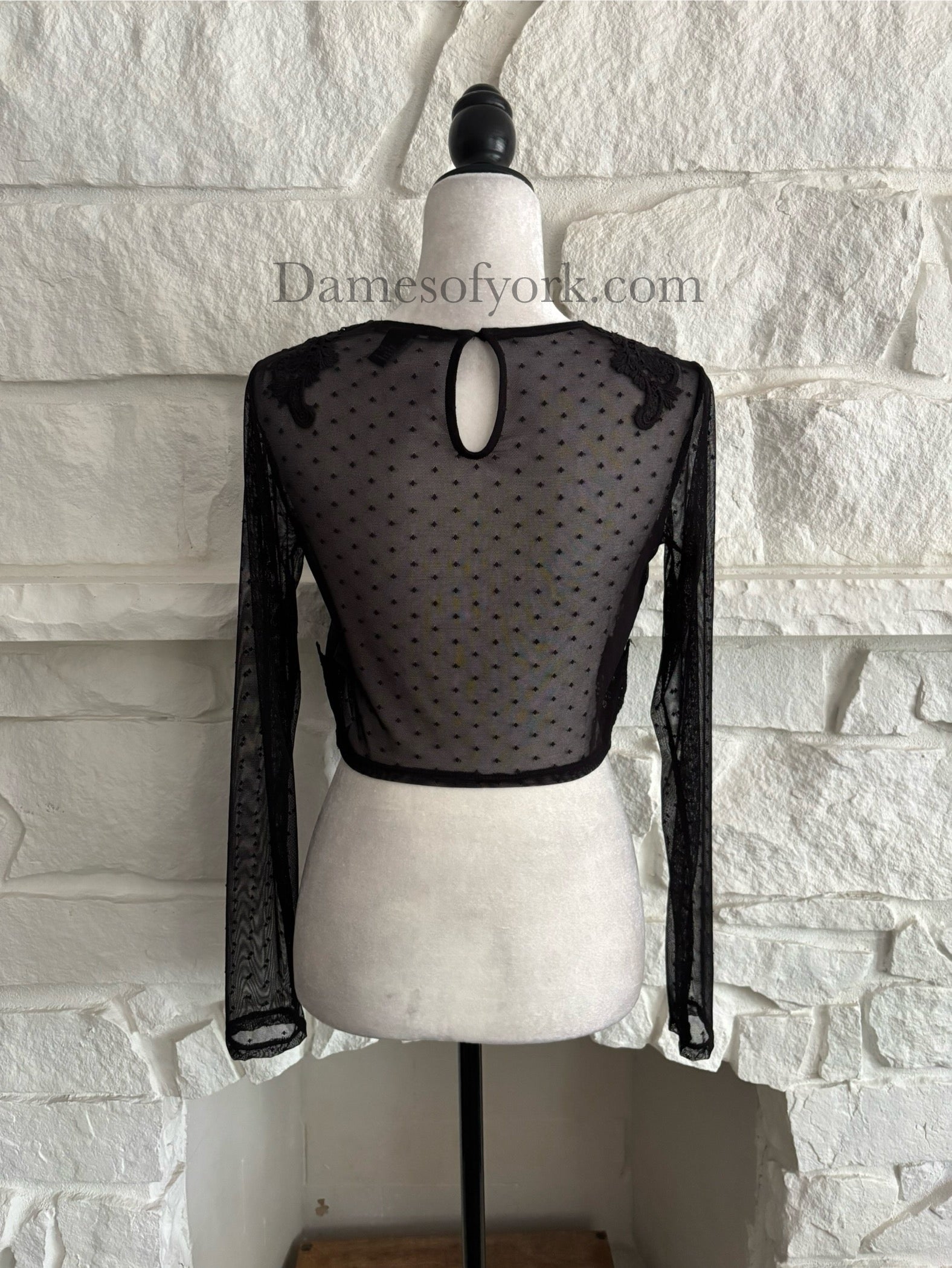 Dotted Veil Crop Top