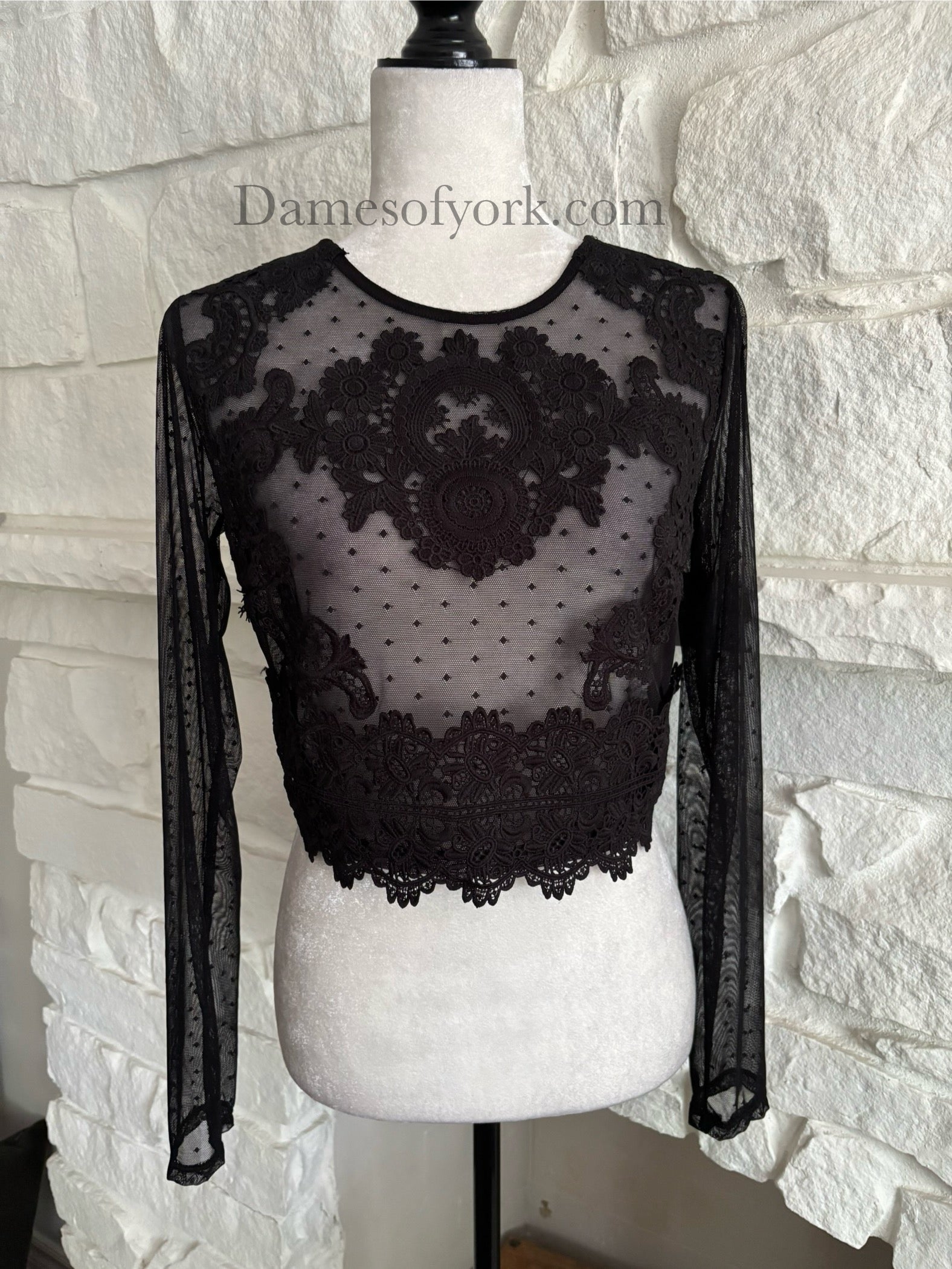 Dotted Veil Crop Top
