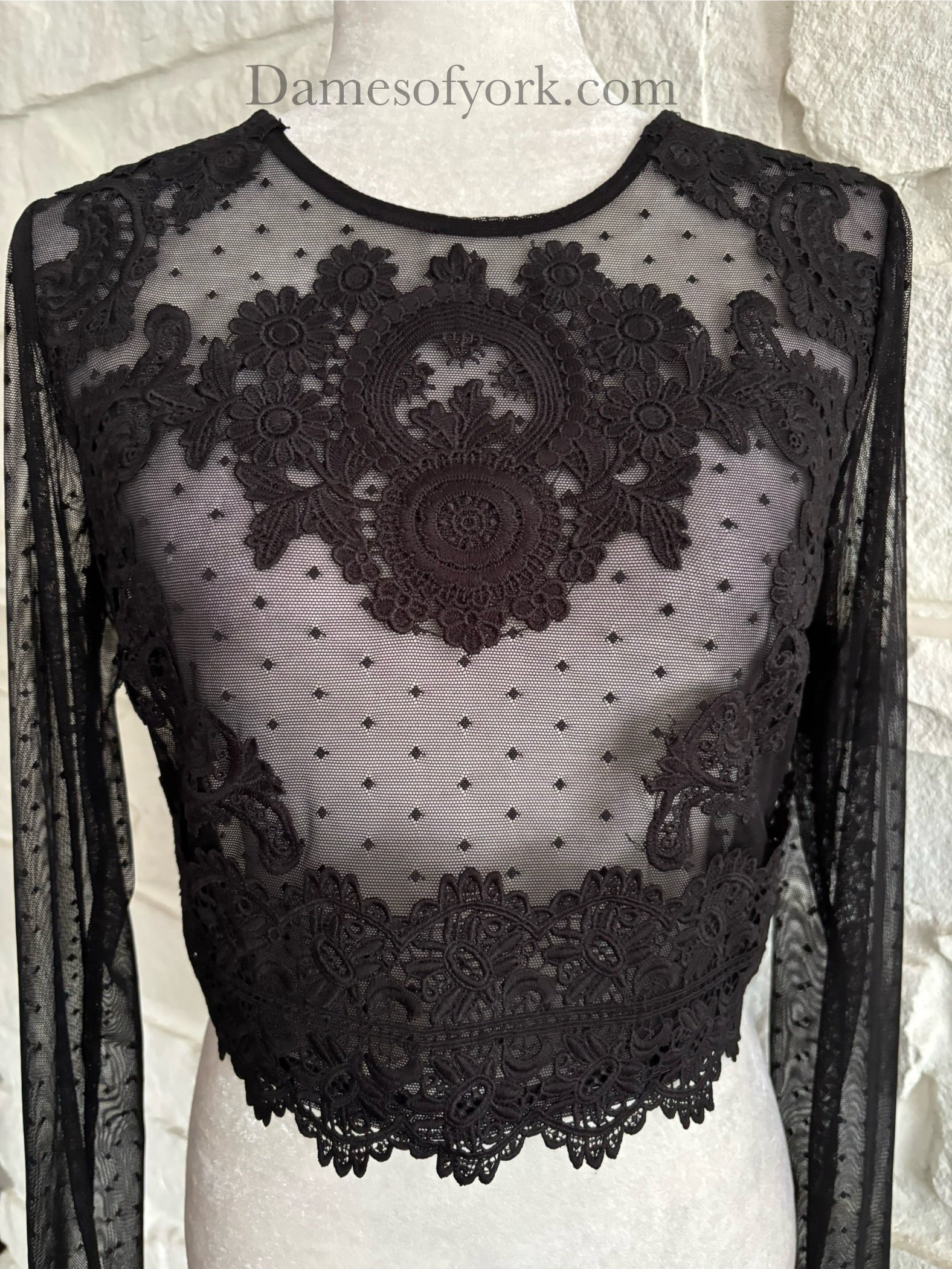 Dotted Veil Crop Top