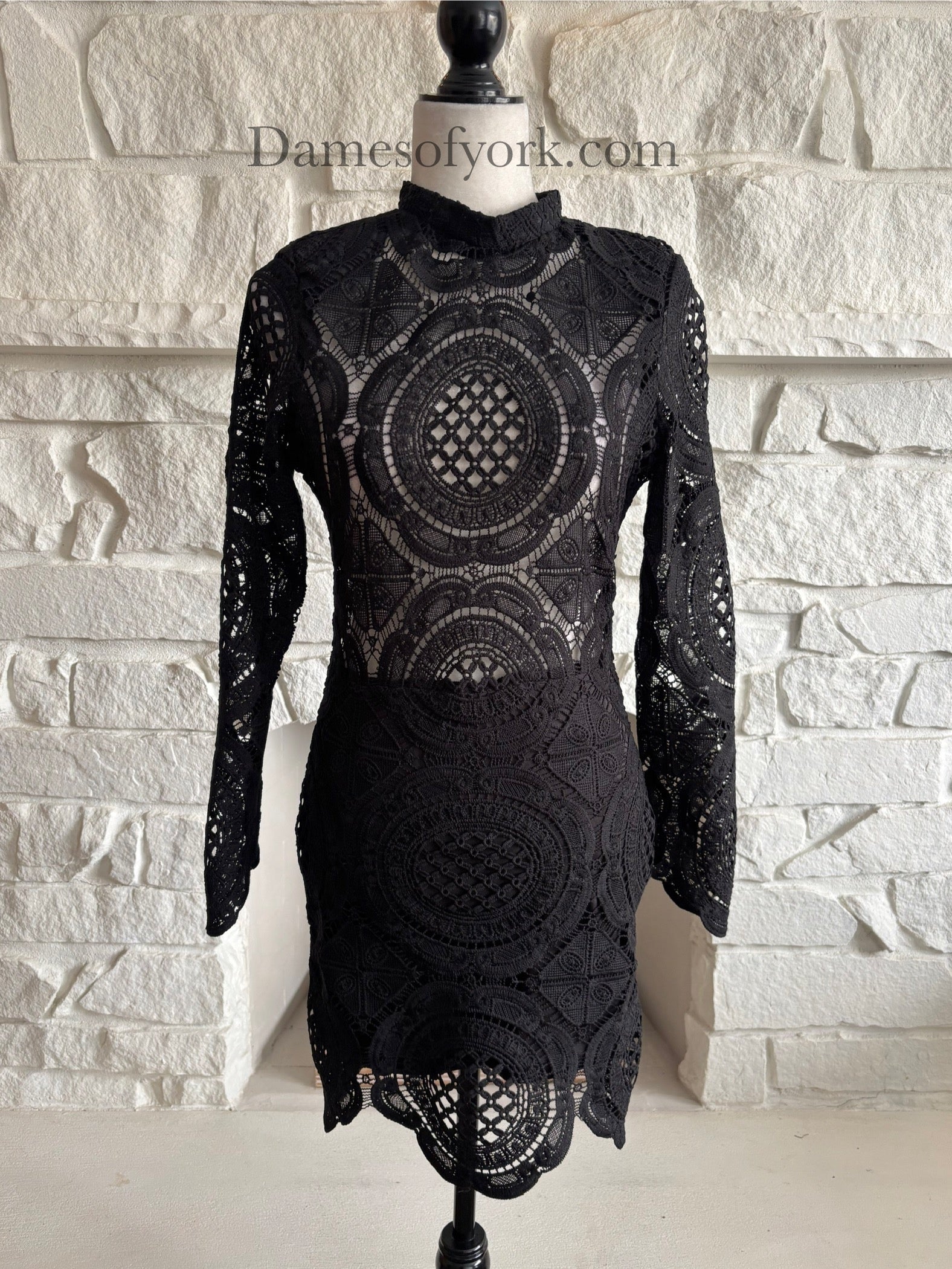 Lace Ascendancy Dress