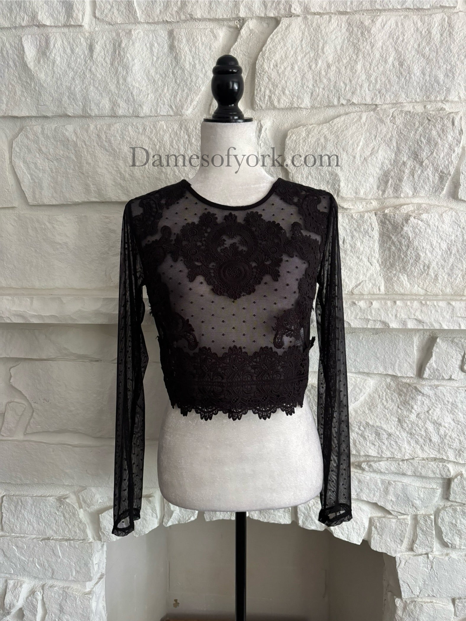 Dotted Veil Crop Top