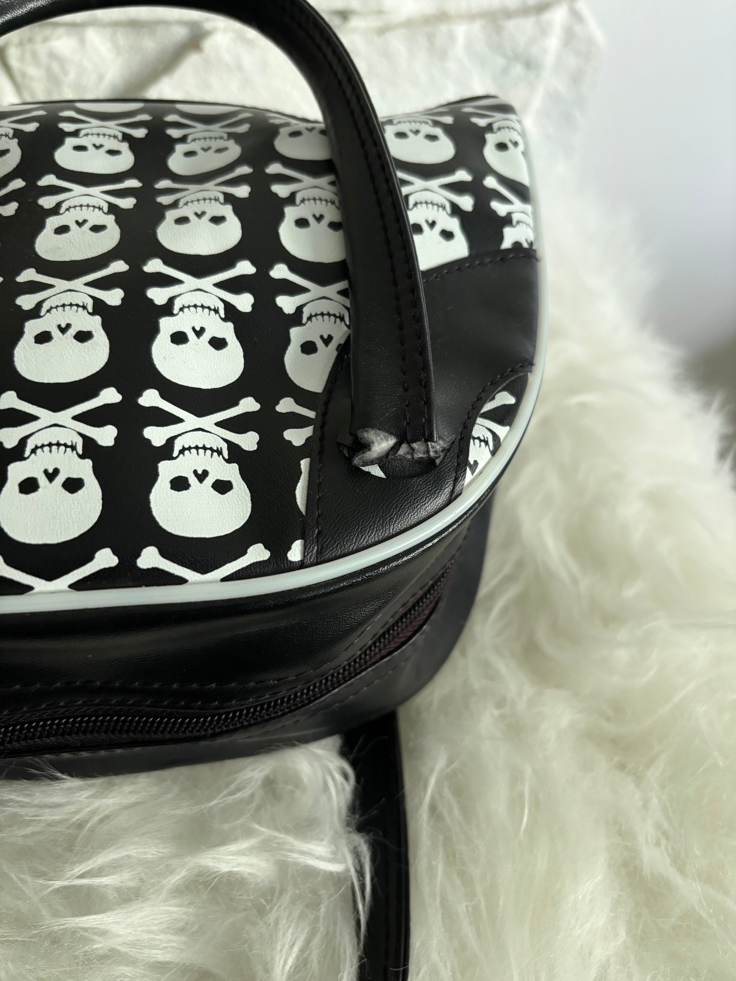 Skull &amp; Crossbones Handbag