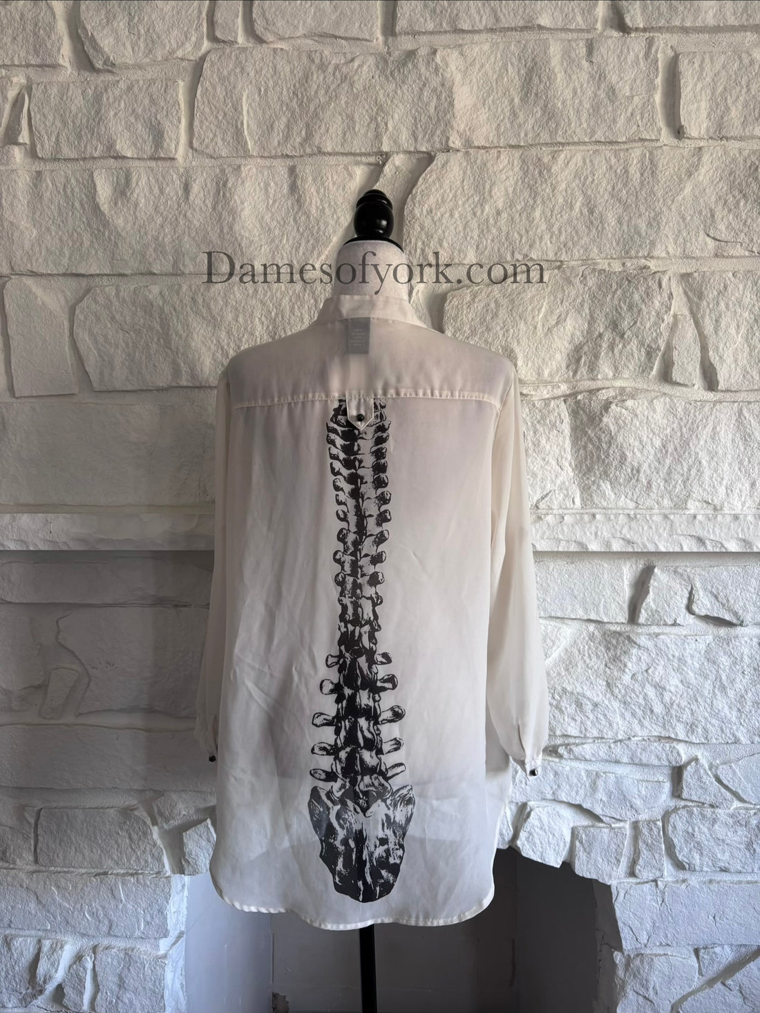 Back view of sheer blouse on mannequin showing black spine-inspired detail down the back