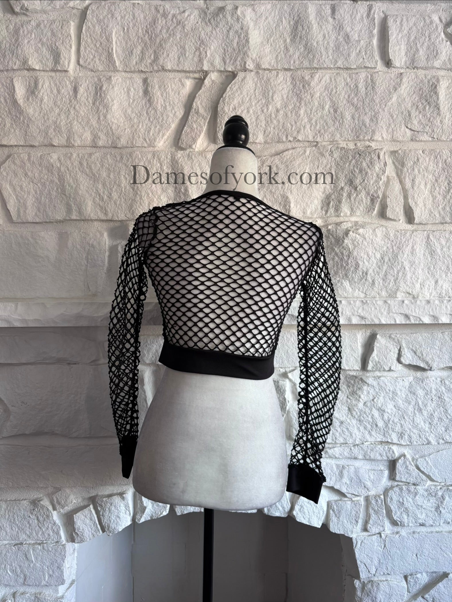 Back view of the Shadow Mesh Crop Top showing the sheer black mesh fabric and long sleeve design.
