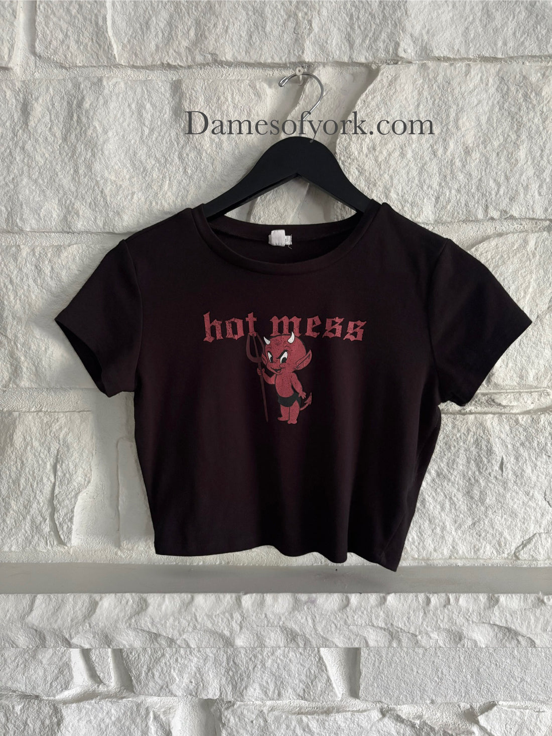 Hot Mess Crop Top