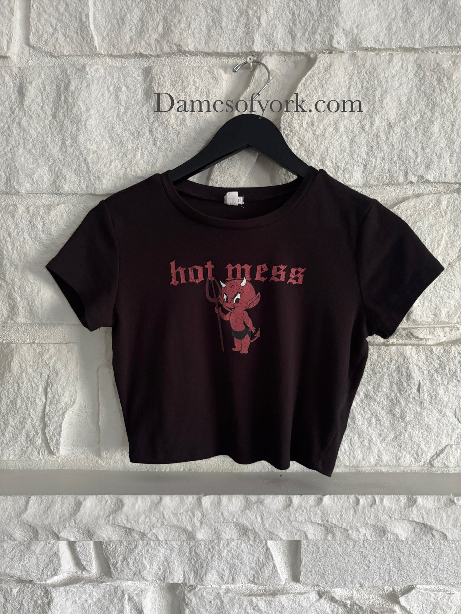 Hot Mess Crop Top