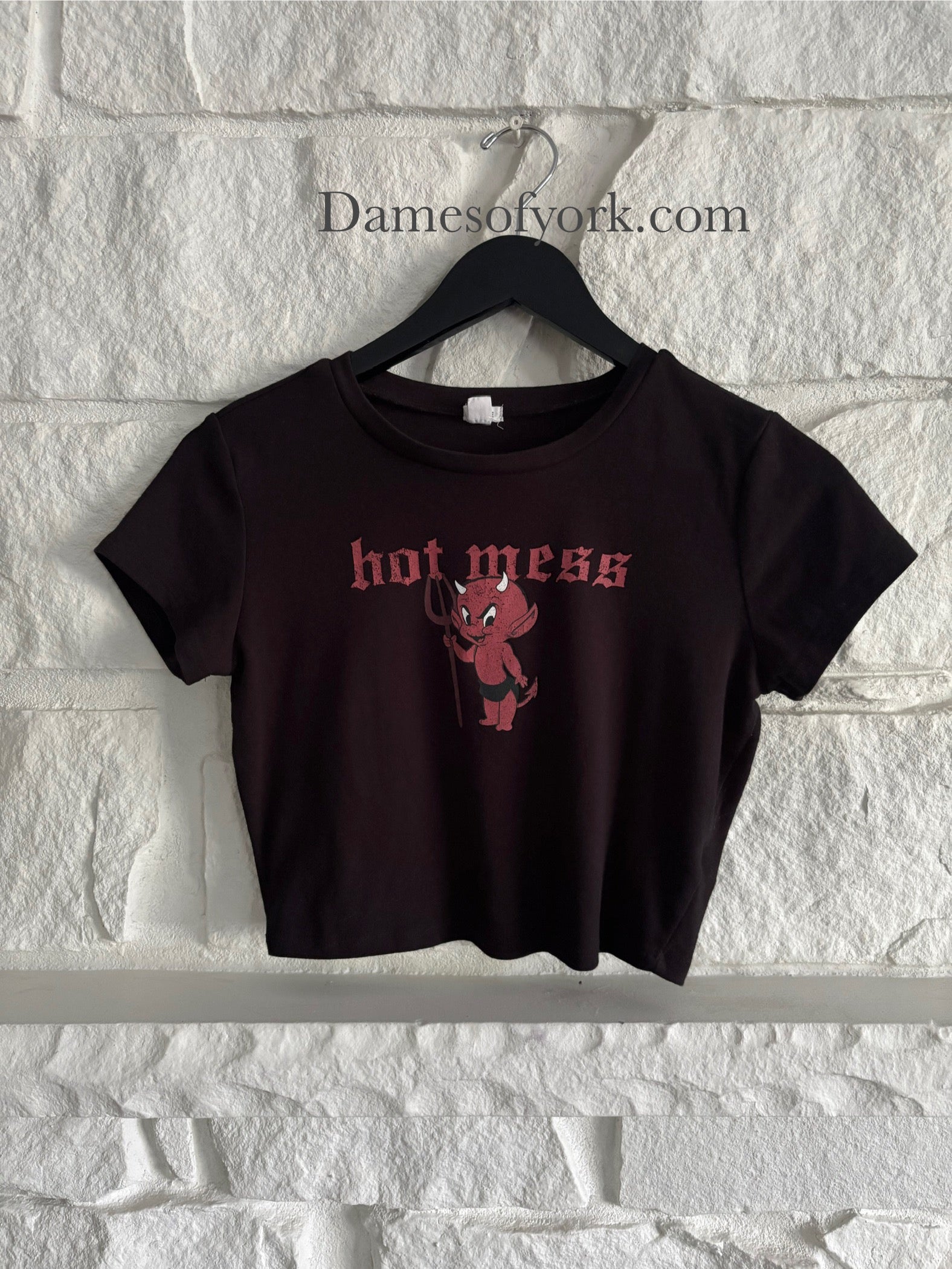Hot Mess Crop Top