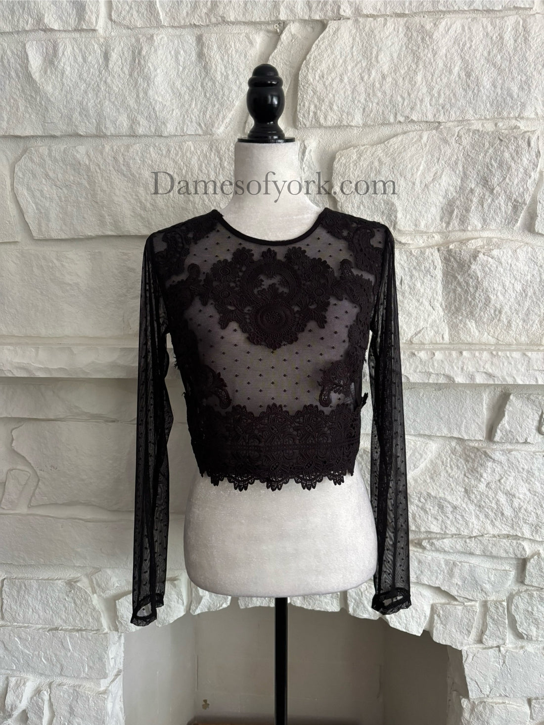 Dotted Veil Crop Top