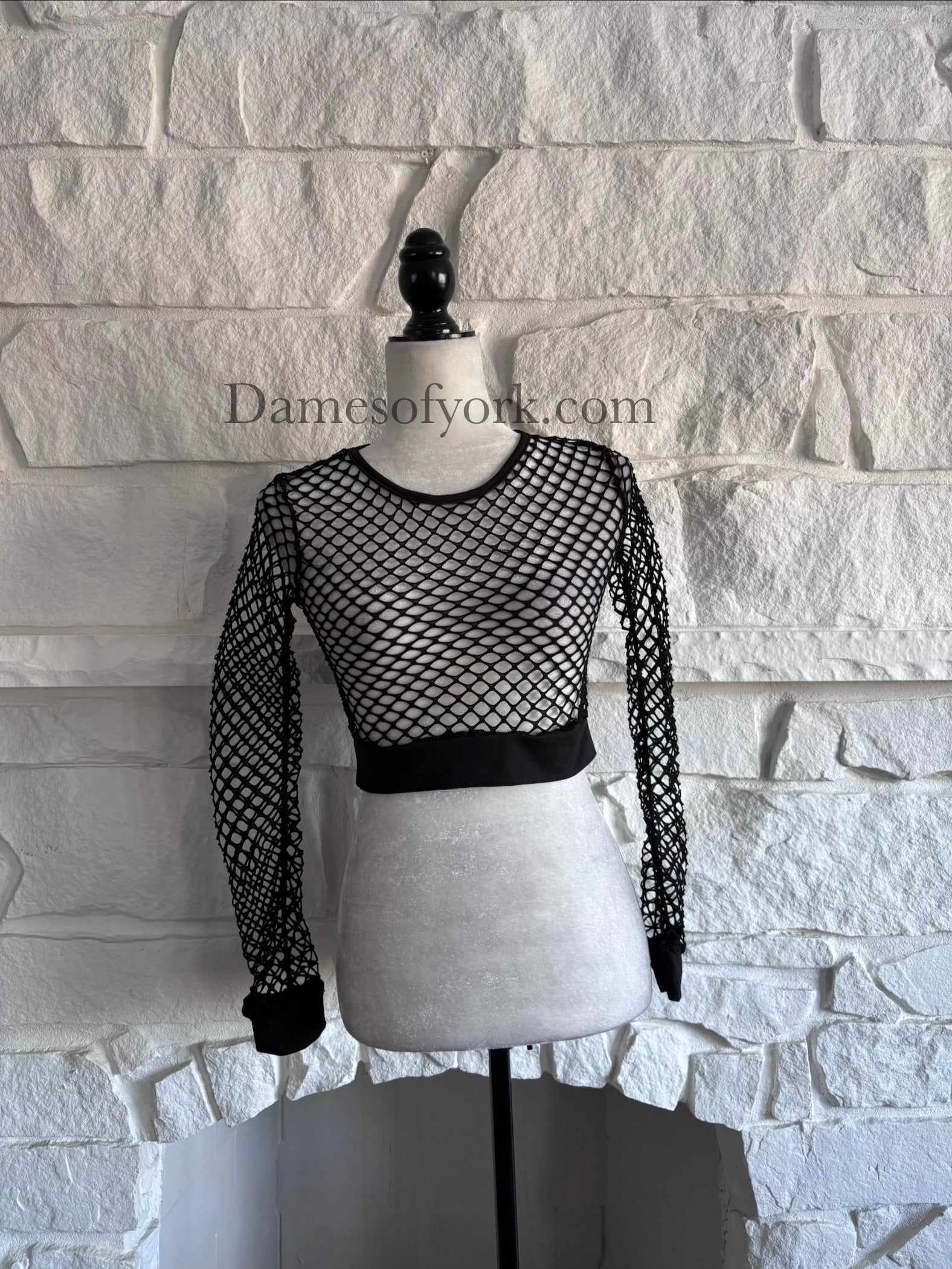 Front view of the Shadow Mesh Crop Top, a black sheer mesh long sleeve crop top with elastic knit bands at the hem and cuffs.