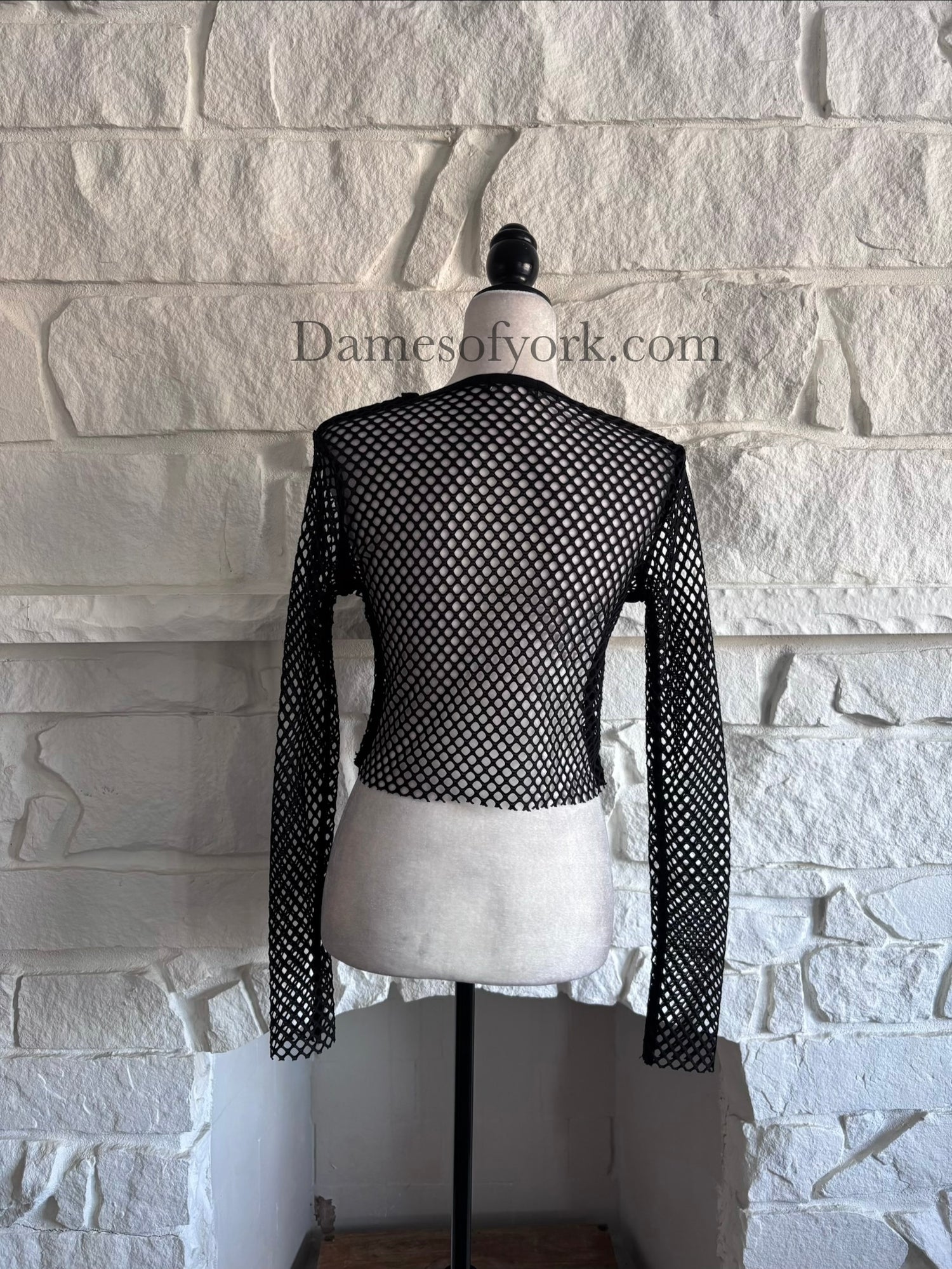 Back view of the Raw Edge Mesh Crop Top showing the sheer black mesh fabric and long sleeves.