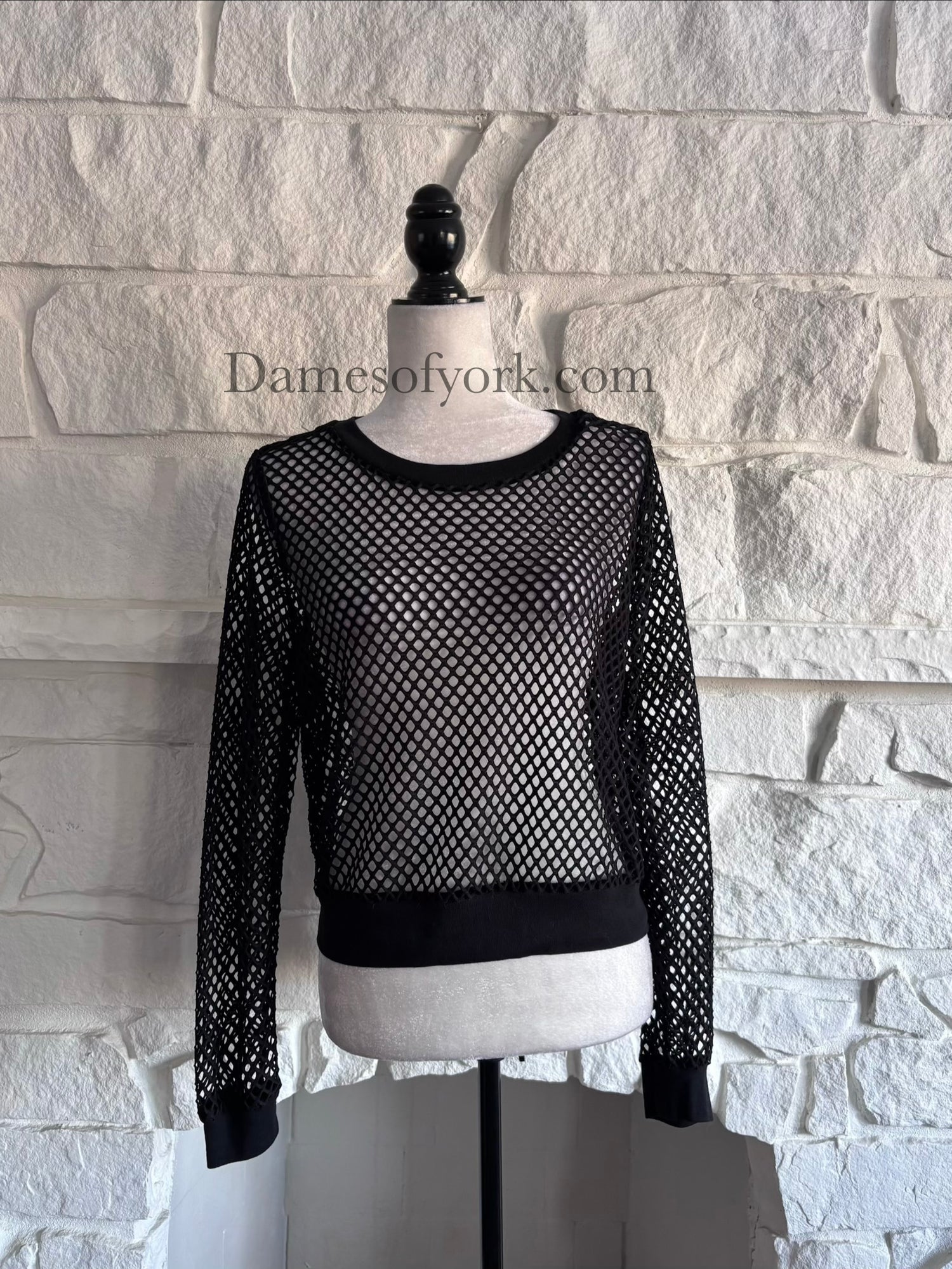 Front view of the Nightveil Mesh Top, a black wide mesh long sleeve crop top with banded hem, collar, and cuffs.