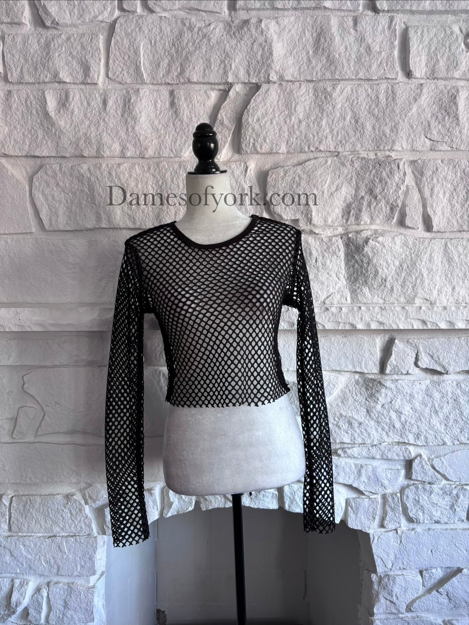 Front view of the Raw Edge Mesh Crop Top, a black sheer mesh long sleeve crop top with unfinished hem and cuff edges.