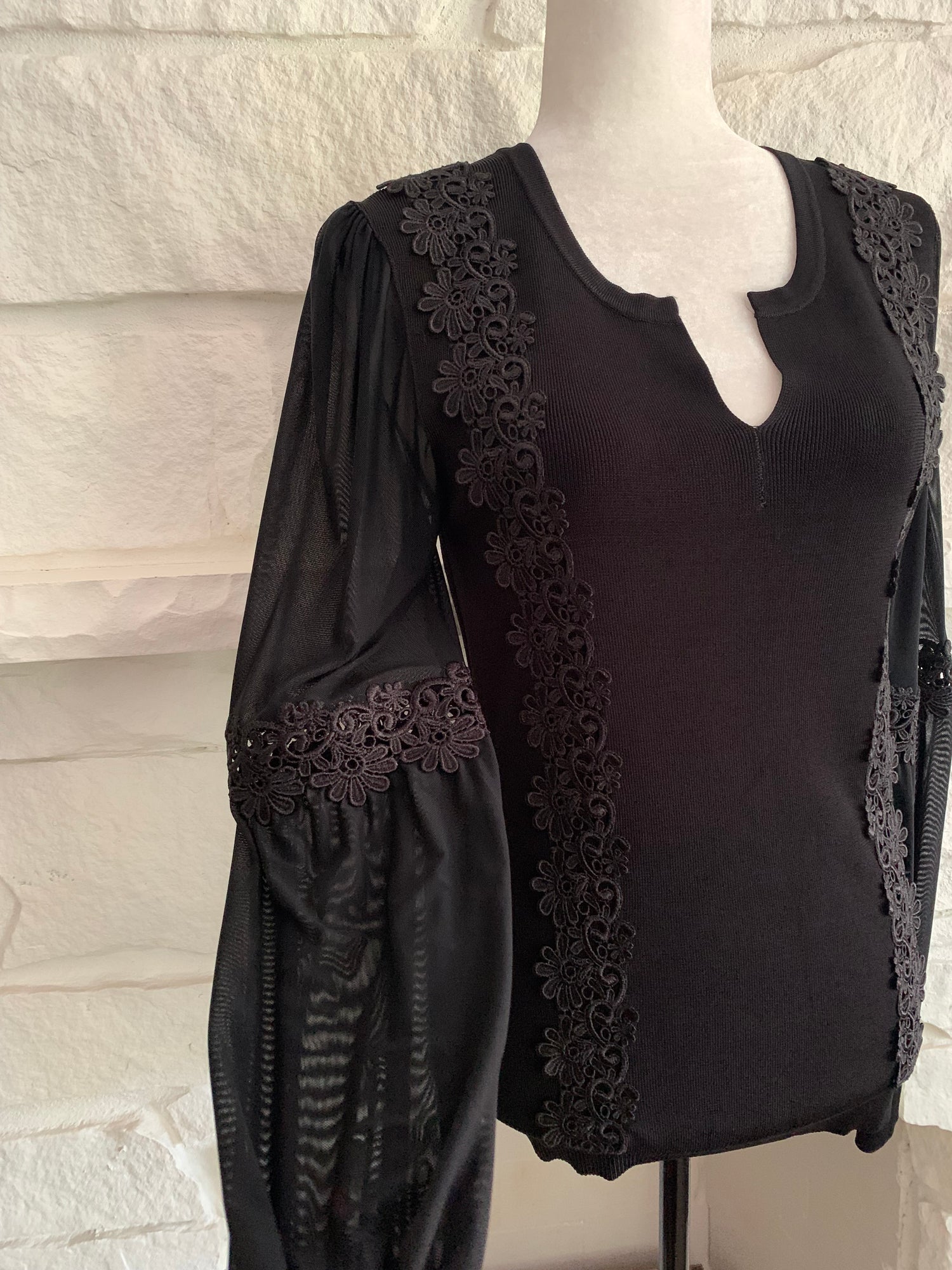 Top with Sheer and Lace Sleeves